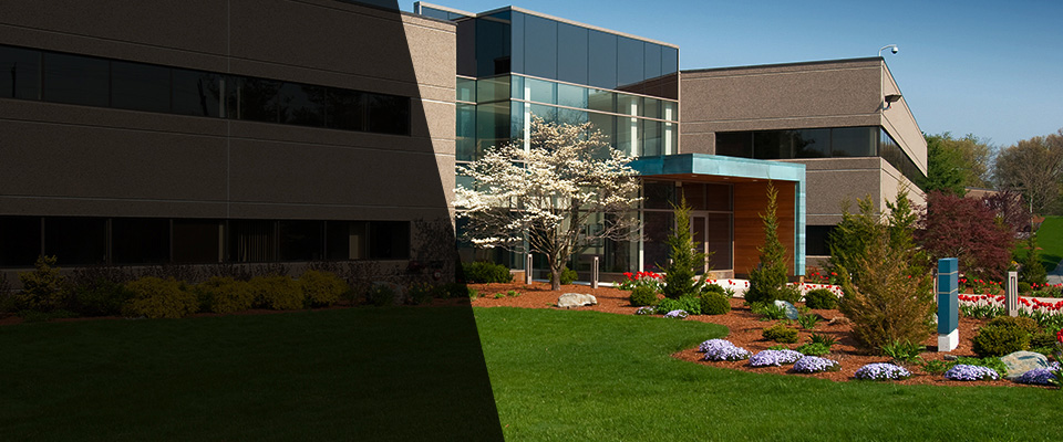 Webberville Landscapers