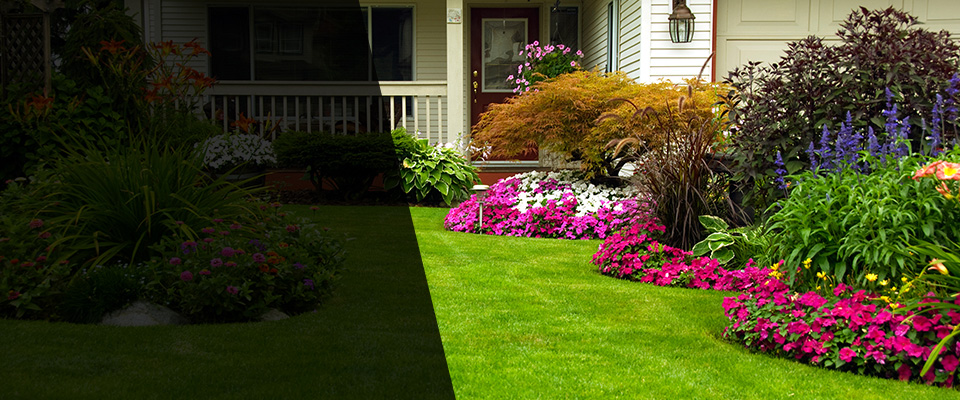 Webberville Landscapers