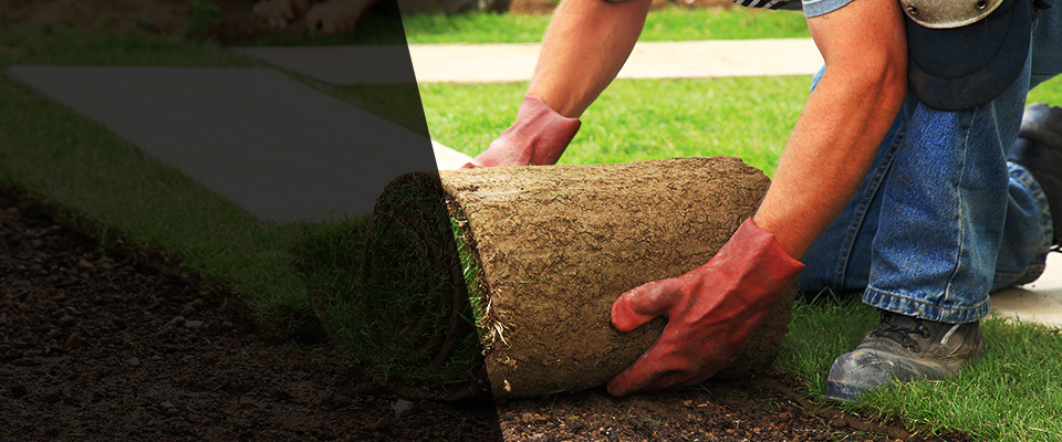 Webberville Landscapers